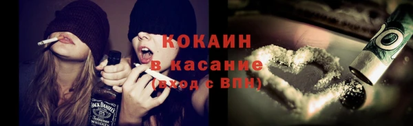 твердый Алексеевка