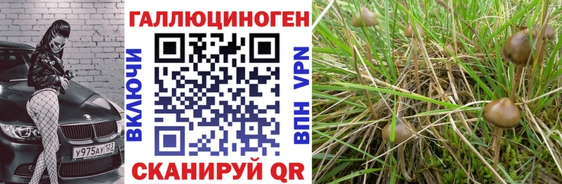Галлюциногенные грибы Magic Shrooms Николаевск-на-Амуре